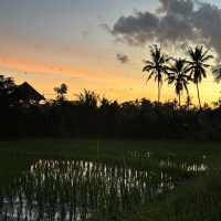 Canggu is the up and coming place in Bali