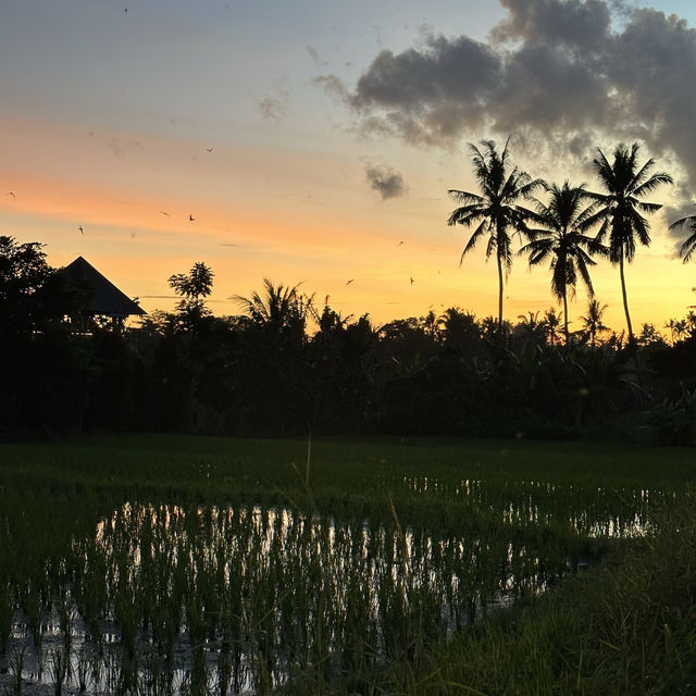 Canggu is the up and coming place in Bali