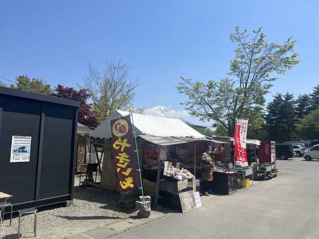 日本富士山景點⛰️｜西湖療癒之里 根場