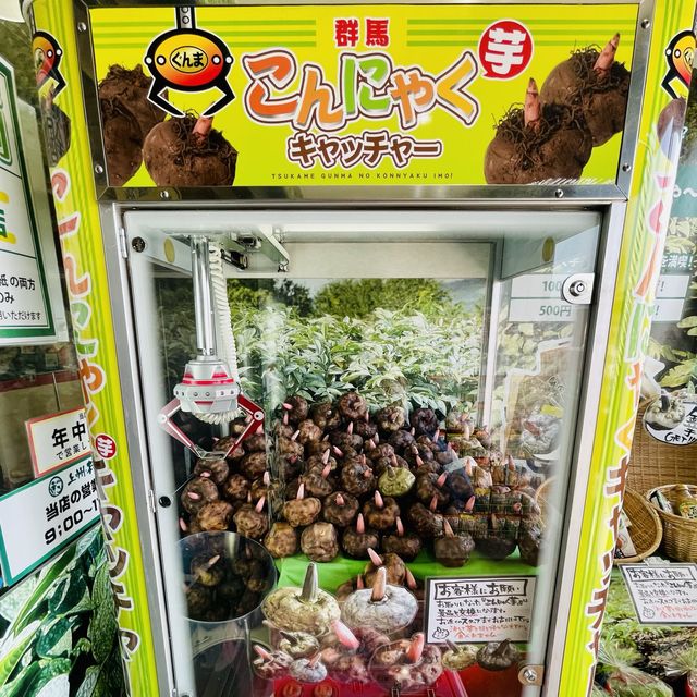 上州•村の駅