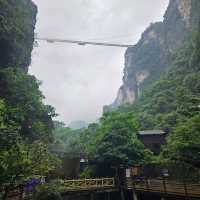 Glass Bridge Zhang Jia Jie