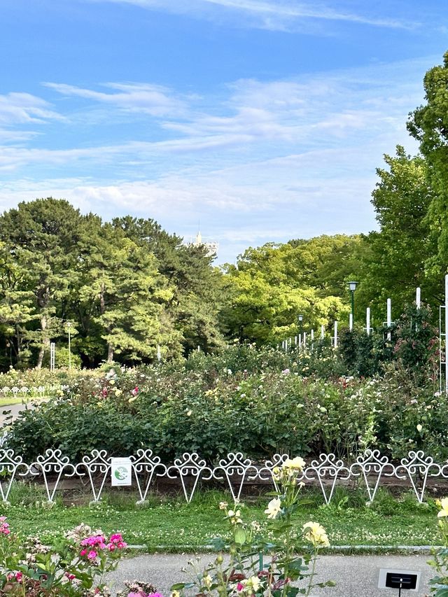 鶴舞公園