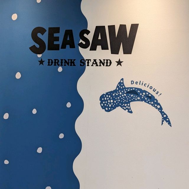 【巨大水槽を浅瀬から深層まで眺める】水族館