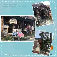 栗谷石牆路🧱「老人親吻墻」打卡