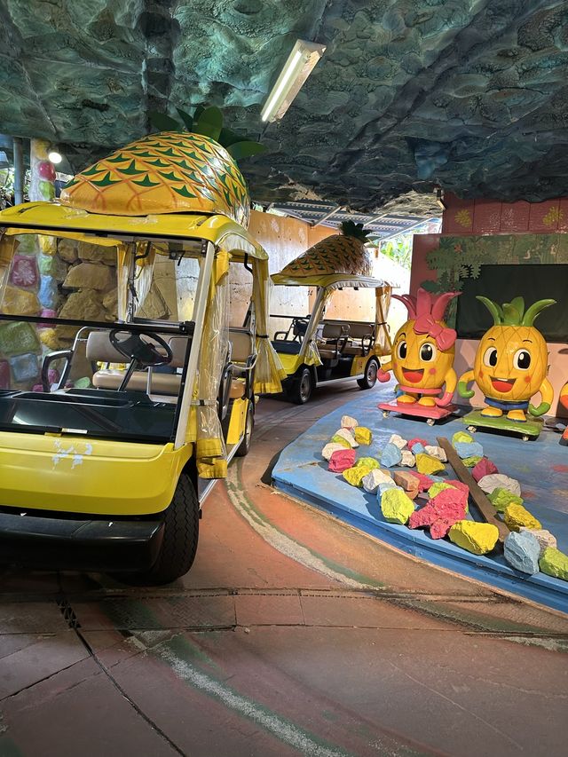 🌺沖縄 名護　パイナップルパーク🍍