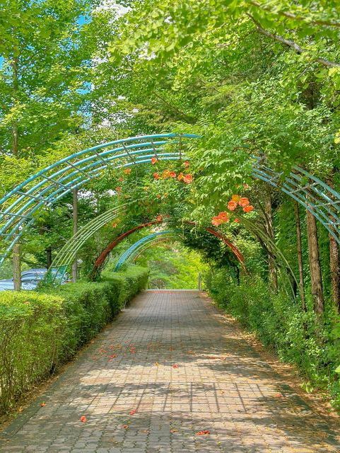조만간 또 피면 여기서 만나🍃🧡