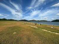 🏔️ จับแพะชนแกะ เขื่อนปราณบุรี 🏔️