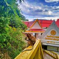 เขาช่องกระจก  วัดธรรมิการาม 