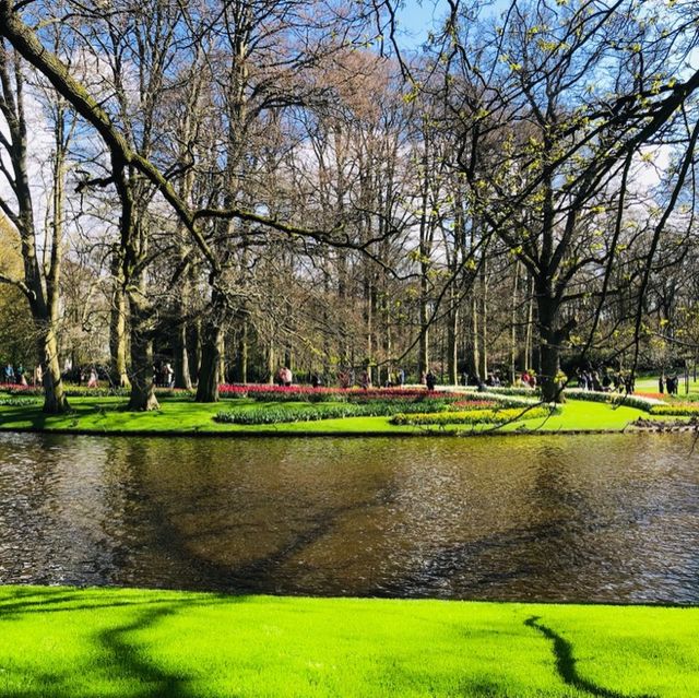 荷蘭🇳🇱利瑟· 藝術雕像美侖美奐⛲️Keukenhof庫肯霍夫花園