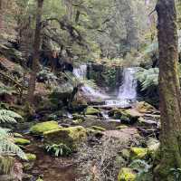 荷伯特 費爾德山國家公園探索自然生態