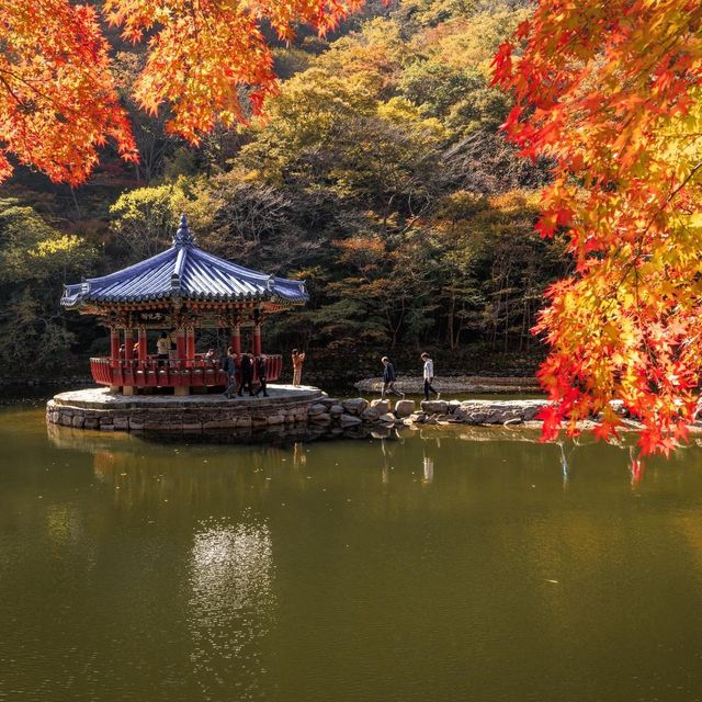 Beautiful Autumn View Of Naejangsan Mountain 
