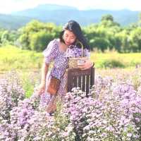 เจอ กู๊เนียร์ ฟอร์เร็ซท สวนดอกไม้ ที่ใหญ่ที่สุดในเชียงใหม่