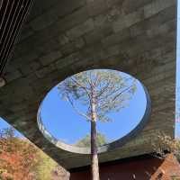 Hwadam Forest: The Backyard We All Want! 