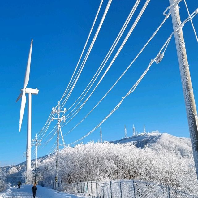 태기산 겨울왕국