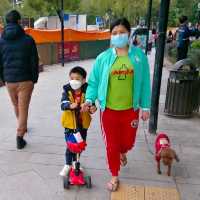 蝴蝶灣沙灘，蝴蝶灣公園，燒烤場，超級熱門！