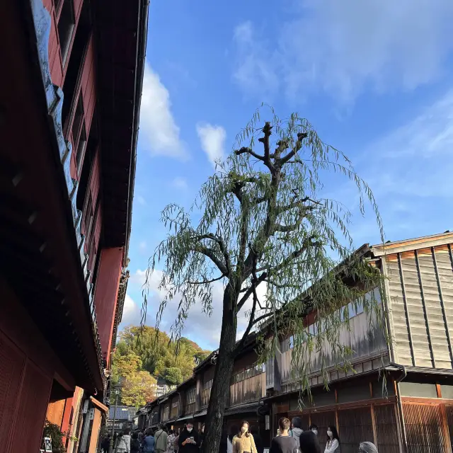 【金沢】ひがし茶屋街でノスタルジックな気分にひたる☺️