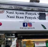 Project Penyek by Ansar