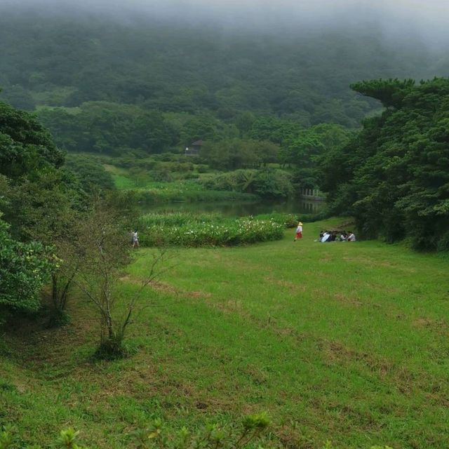 山裡雲間陽明山二子坪步道