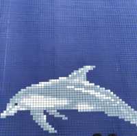 八景島シーパラダイス🐧🐬