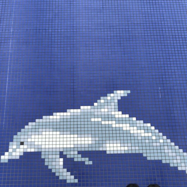 八景島シーパラダイス🐧🐬