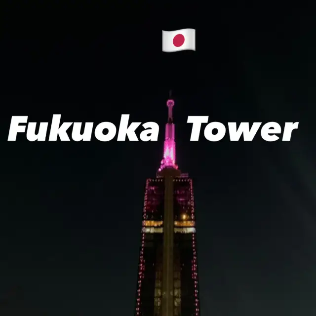 상공 123m에서 바라보는 야경 🎆 후쿠오카 타워!🇯🇵