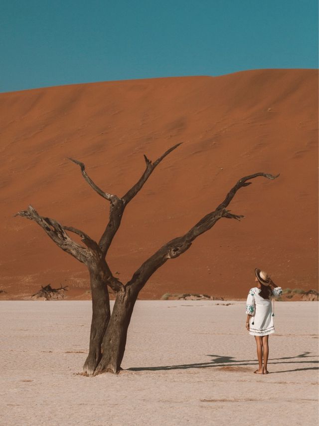 Deadvlei Nambia - Frozen in time