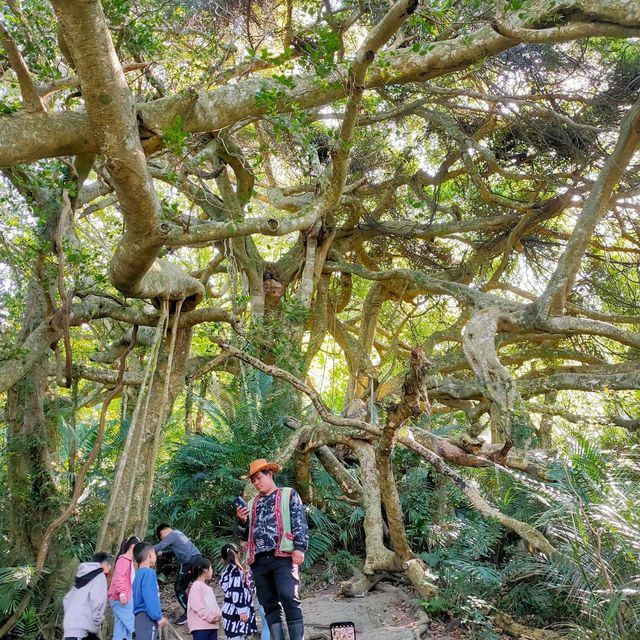 布農族原住民生活體驗