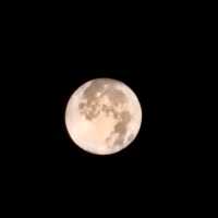 เขาคิชกุฏ 2566