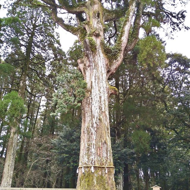 霧島神宮-日本國寶、南九州最大神社