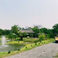 🌻 Lapuné Cafe and Scene  🌻