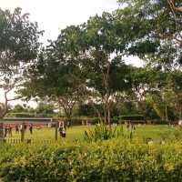 บรรยากาศดีๆ ที่ อุทยาน ๑๐๐ ปี จุฬาฯ 🌳🌷
