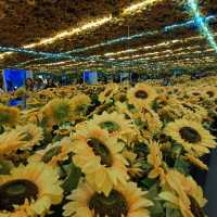Van Gogh Alive Bangkok！3D 梵谷展