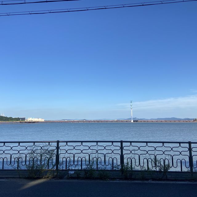 당진 바다가 보이는 오션뷰 카페, 반려견과 오기 좋은 야외 카페 더트 커피