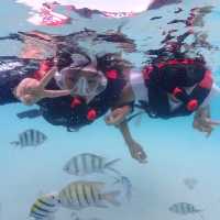 ดำน้ำอ่าวแสมสารร  🐠