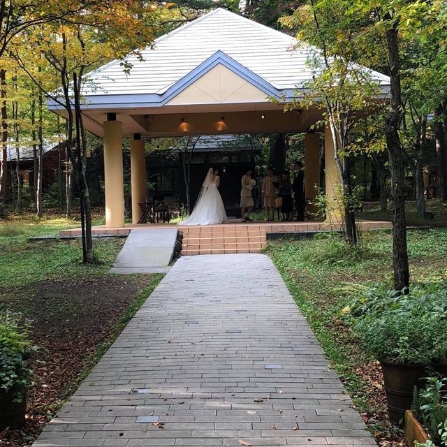 浪漫🌹醉人輕井澤高原教堂💒森林系建築