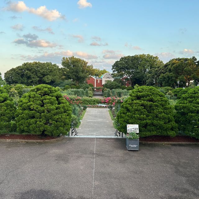 【横浜】夕方の港の見える丘公園・展望台にて
