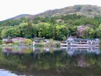 湯布院草庵秋櫻日式旅館🇯🇵♨️🏠