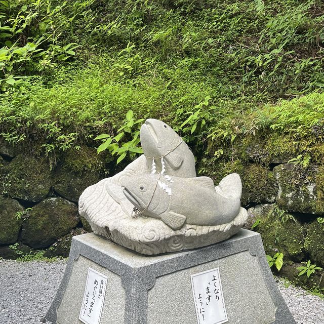 【栃木・日光】世界遺産！日光の社寺に！