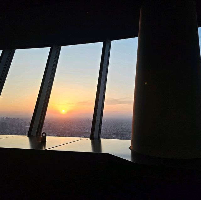 東京必到景點晴空塔🗼
