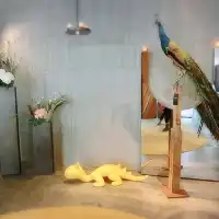 宜蘭秘密基地💕小國生活Neverland獨立森林