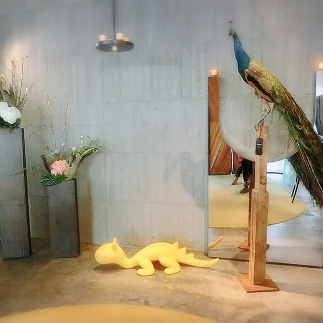 宜蘭秘密基地💕小國生活Neverland獨立森林
