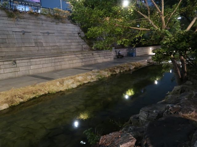 늦여름엔 청계천 산책 🎶