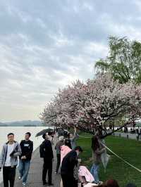 杭州西湖漫步一日遊