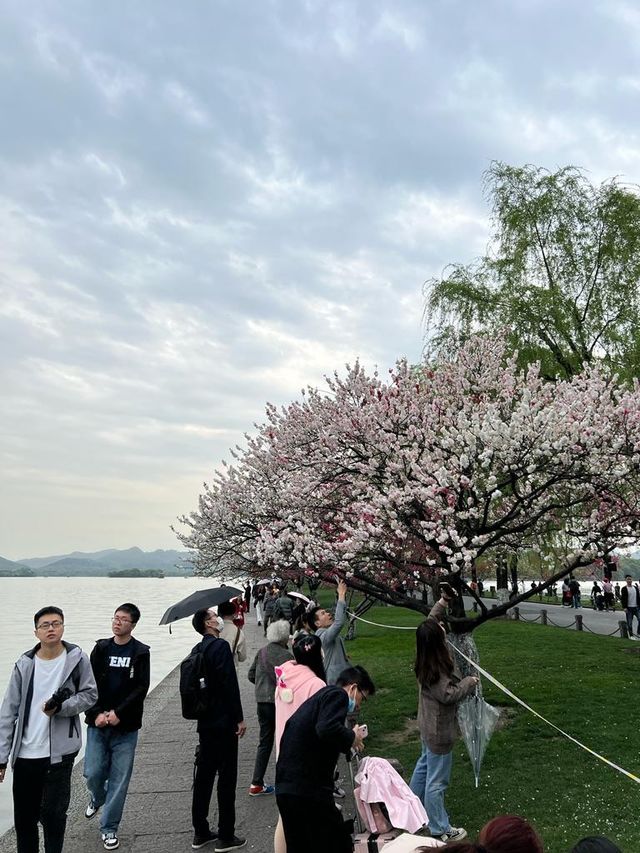 杭州西湖漫步一日遊