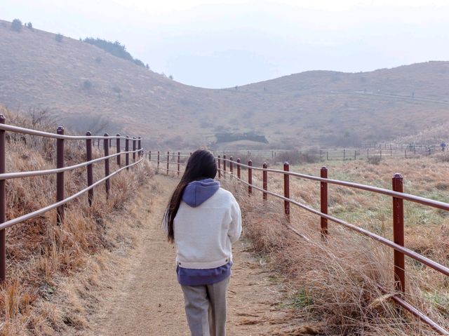 모두가 산책하기에 좋은, 용눈이오름