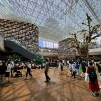 Beautiful Public Library