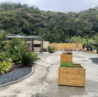 【梅窩網紅Cafe】thehideouthk 秒帶你到泰國