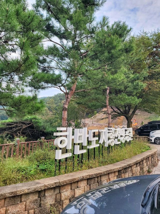 아찔하지만 올라간 보람있었다! 한반도지형전망대🇰🇷