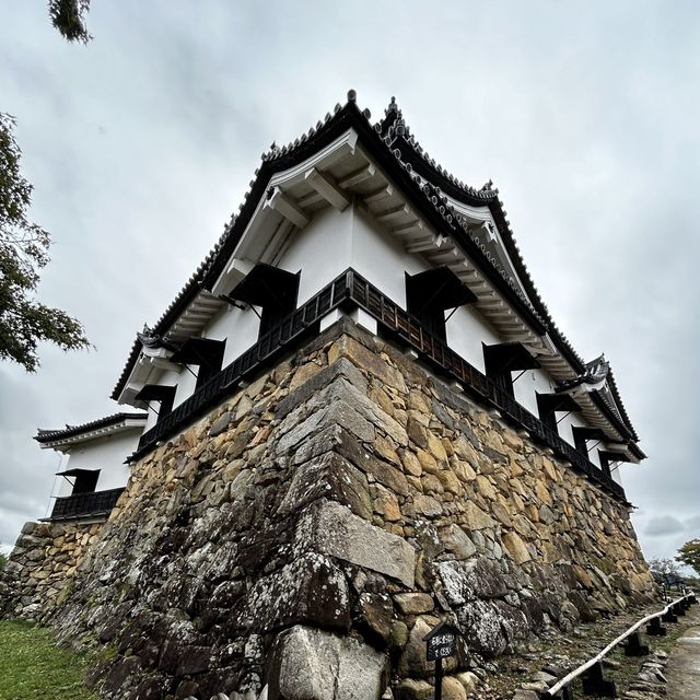 the beauty of himeji castle 🏰 