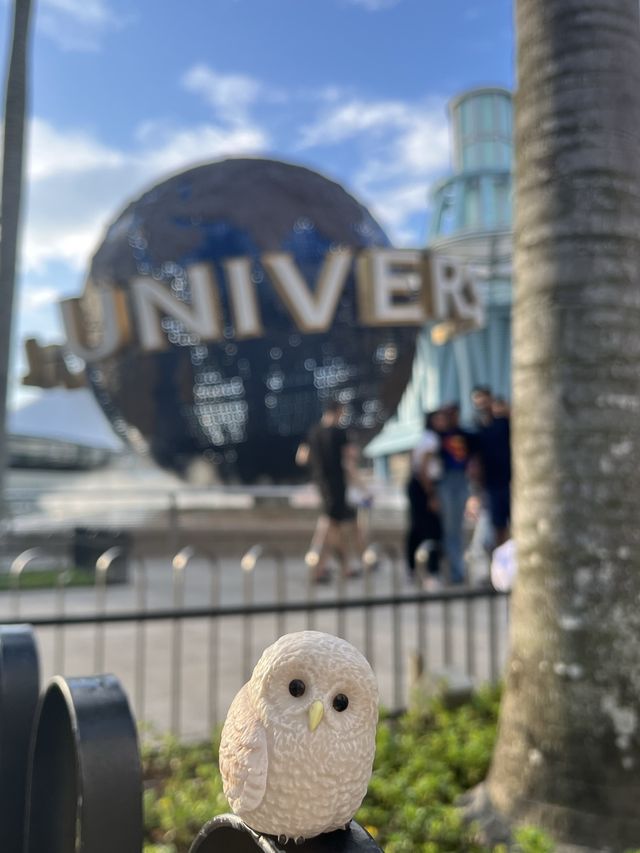 🇸🇬新加坡全世界最小的環球影城🐾懸掛式雲霄飛車🎢真刺激！